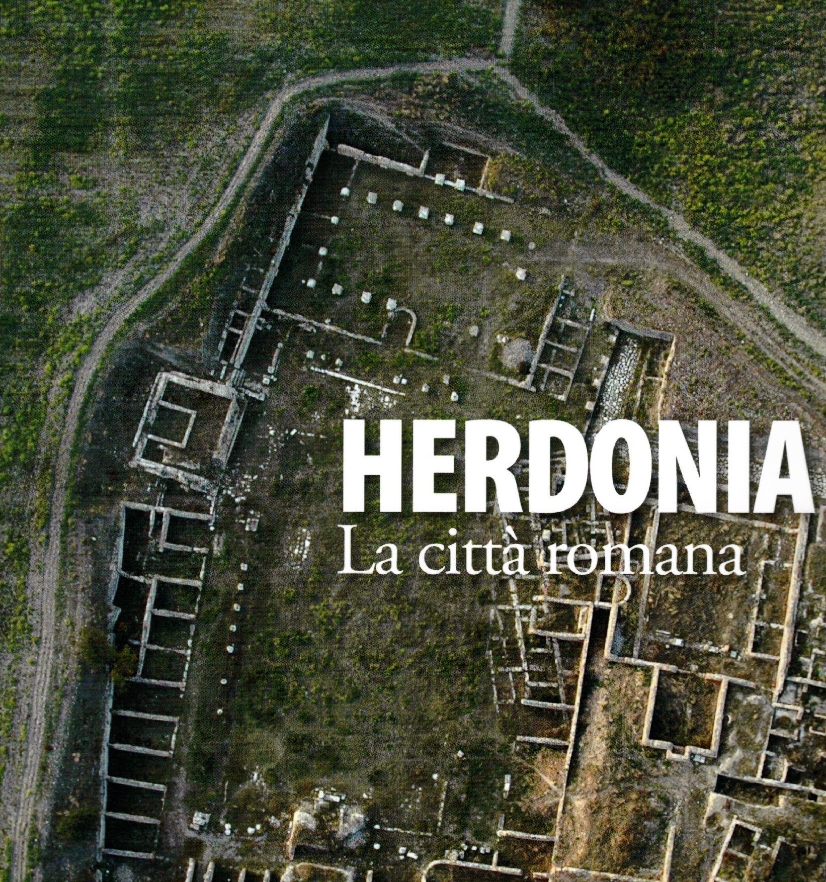 Copertina di Herdonia La città romana