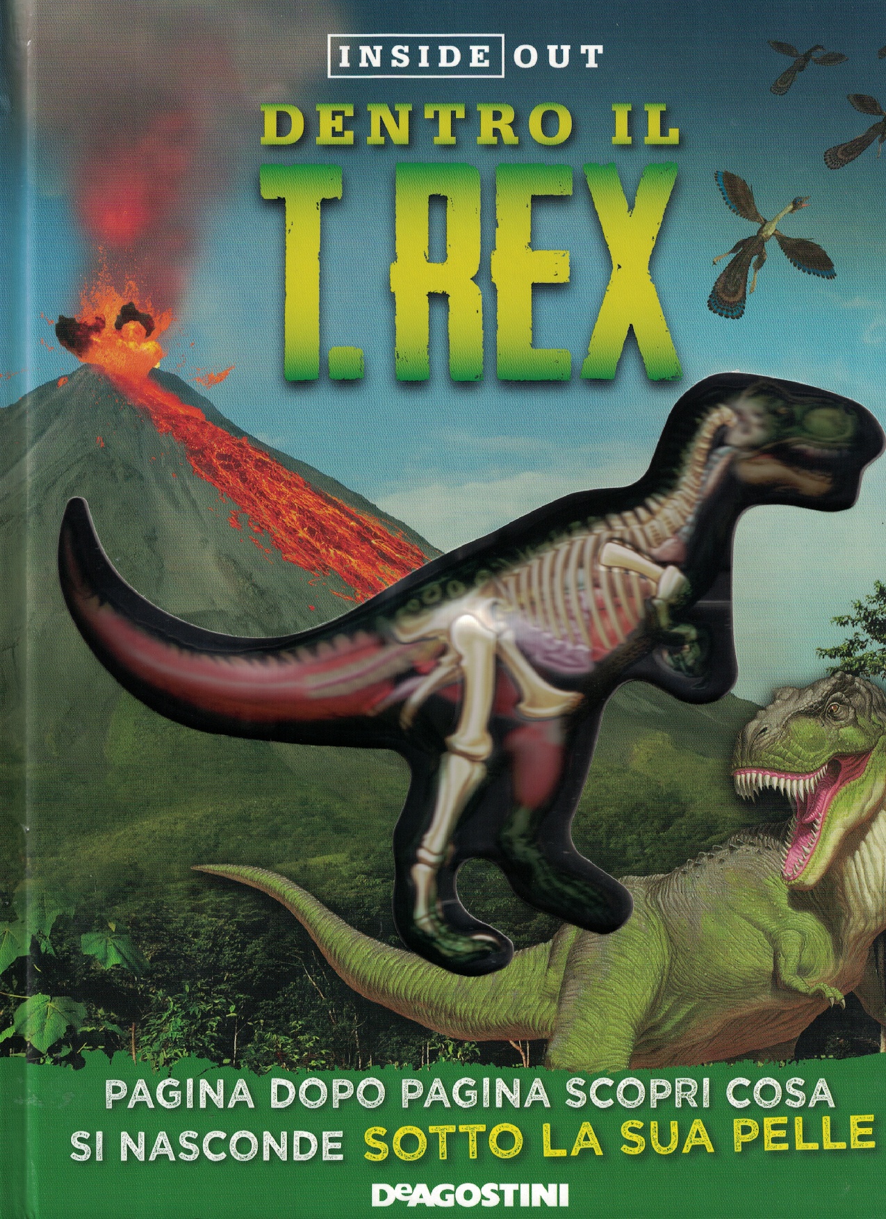 Copertina di Dentro il t.rex
