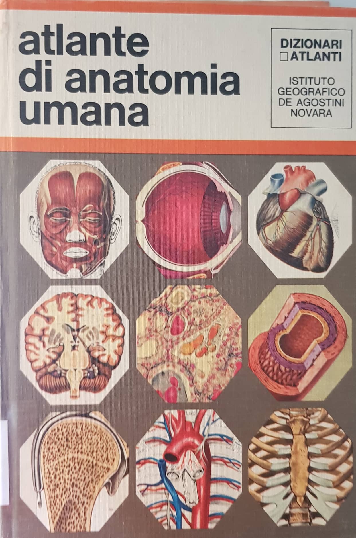 Copertina di Atlante di anatomia umana