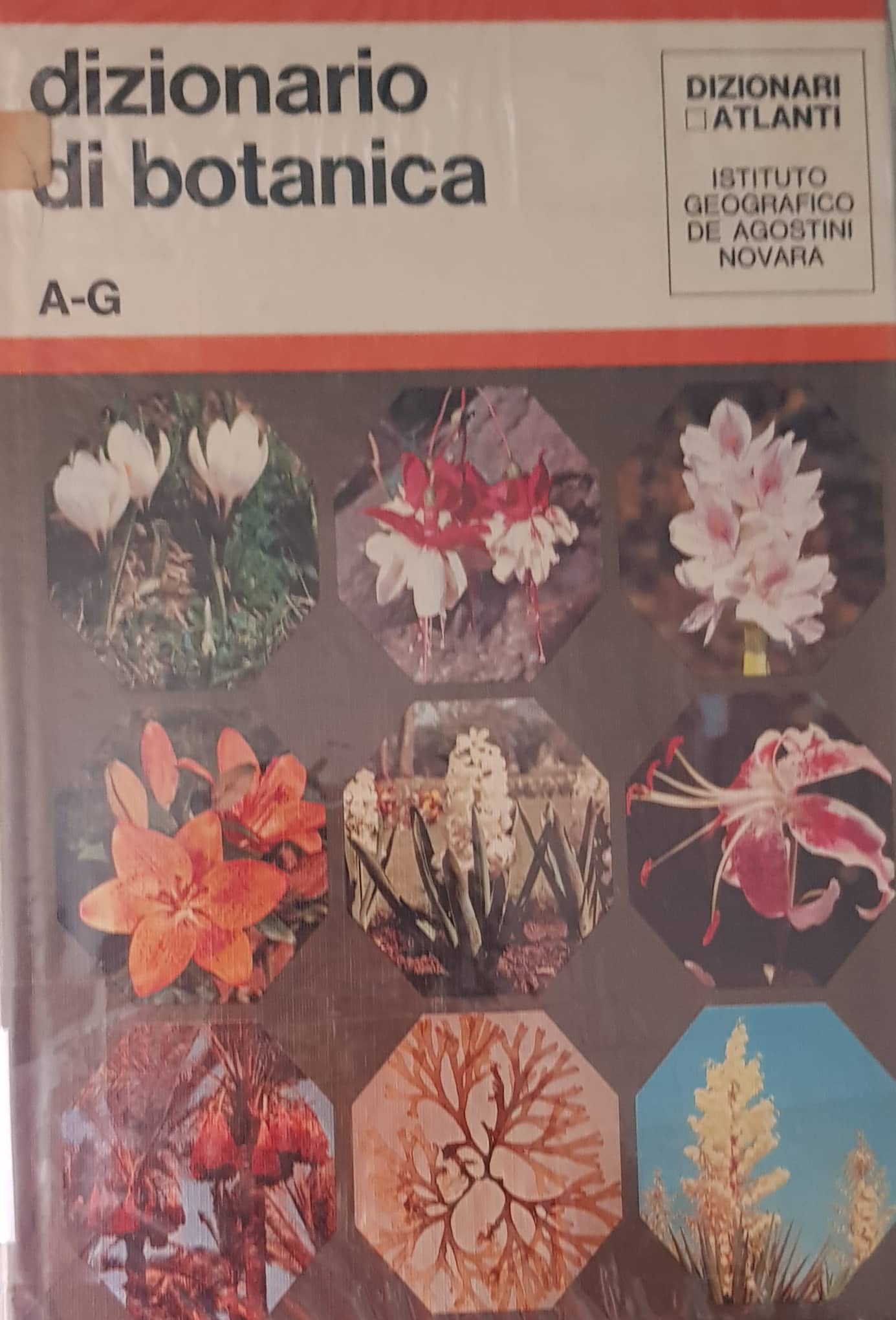 Copertina di Dizionario di botanica 1