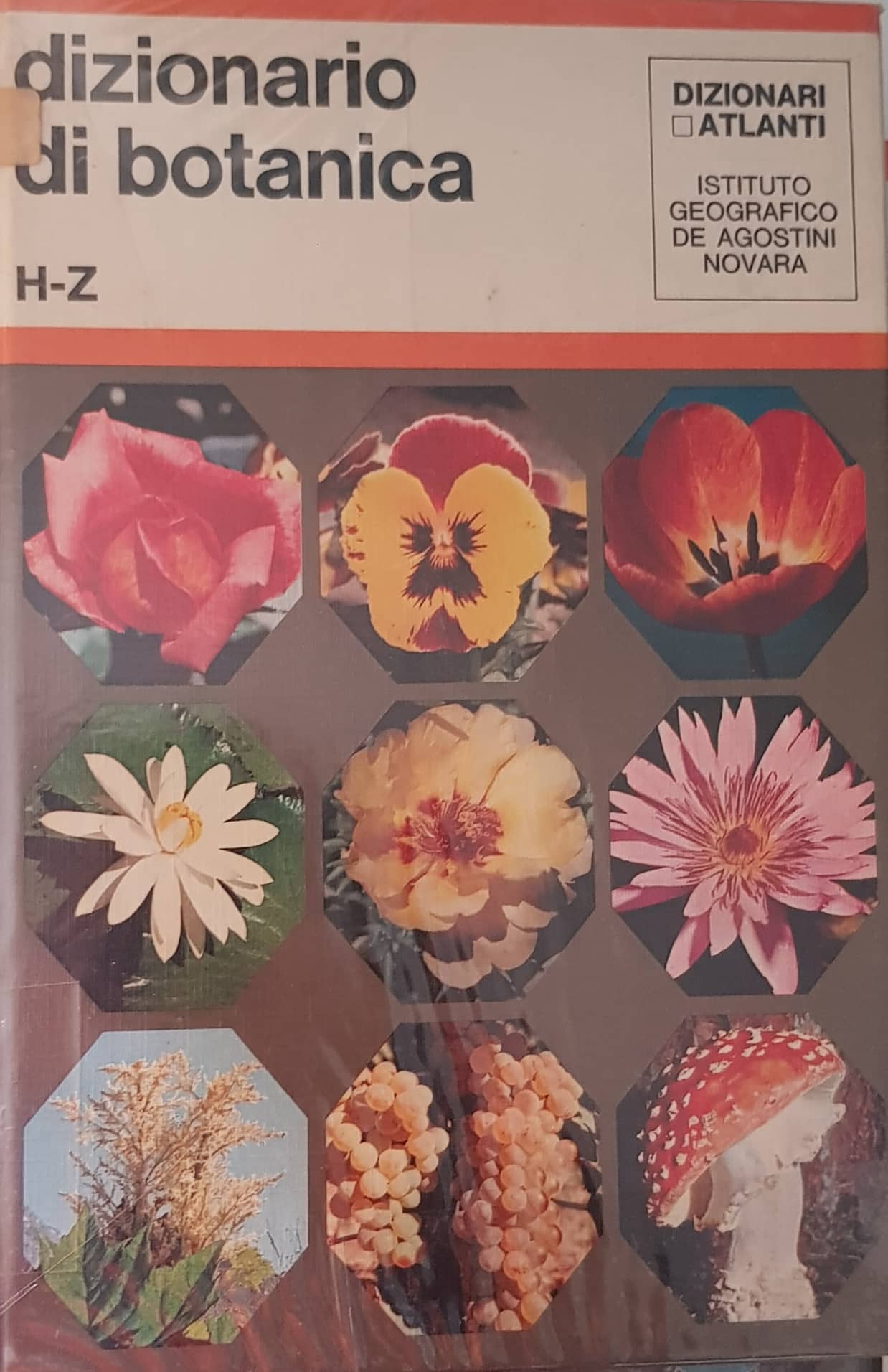 Copertina di Dizionario di botanica 2 H-Z