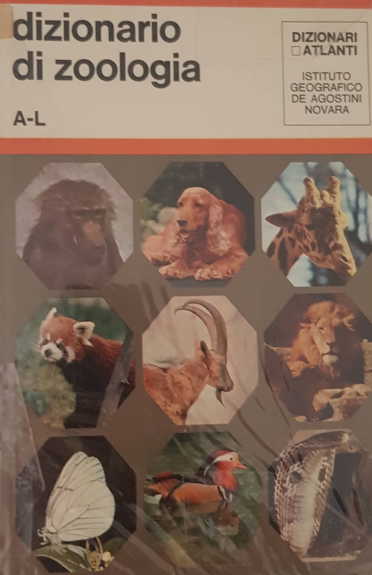 Copertina di Dizionario di zoologia 1 A-L