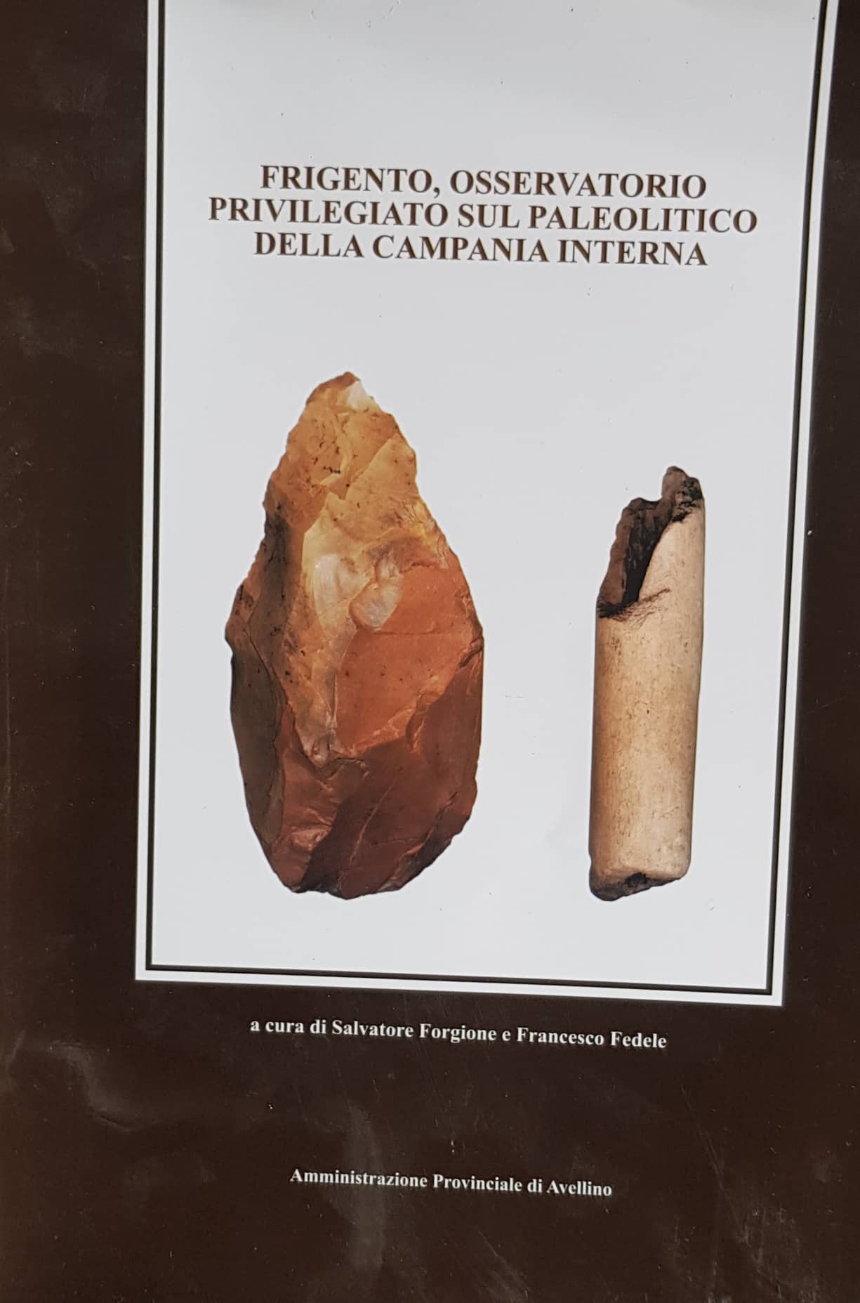 Copertina di Frigento, osservatorio privilegiato sul paleolitico della Campania interna