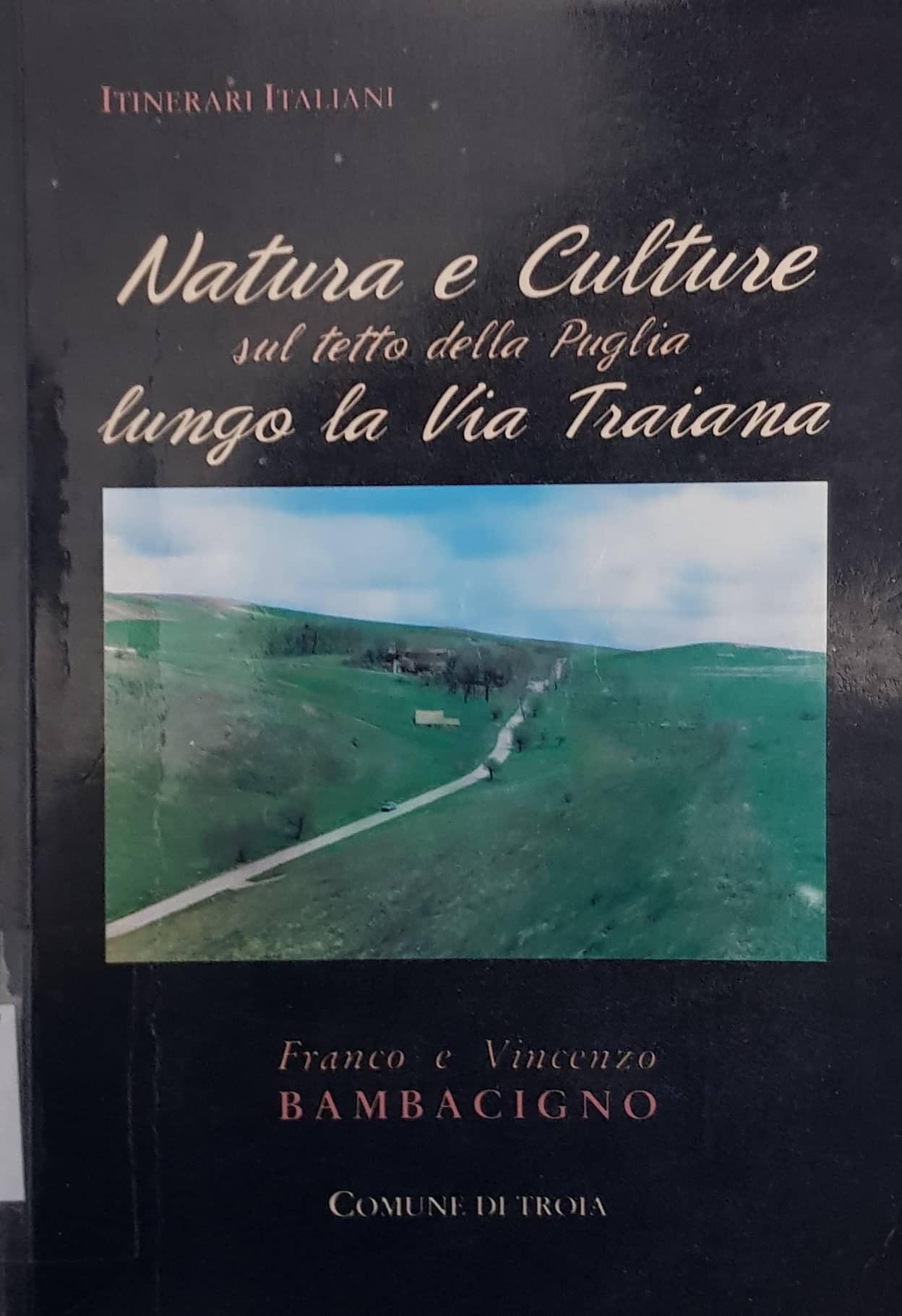 Copertina di Natura e culture sul tetto della Puglia lungo la Via Traiana