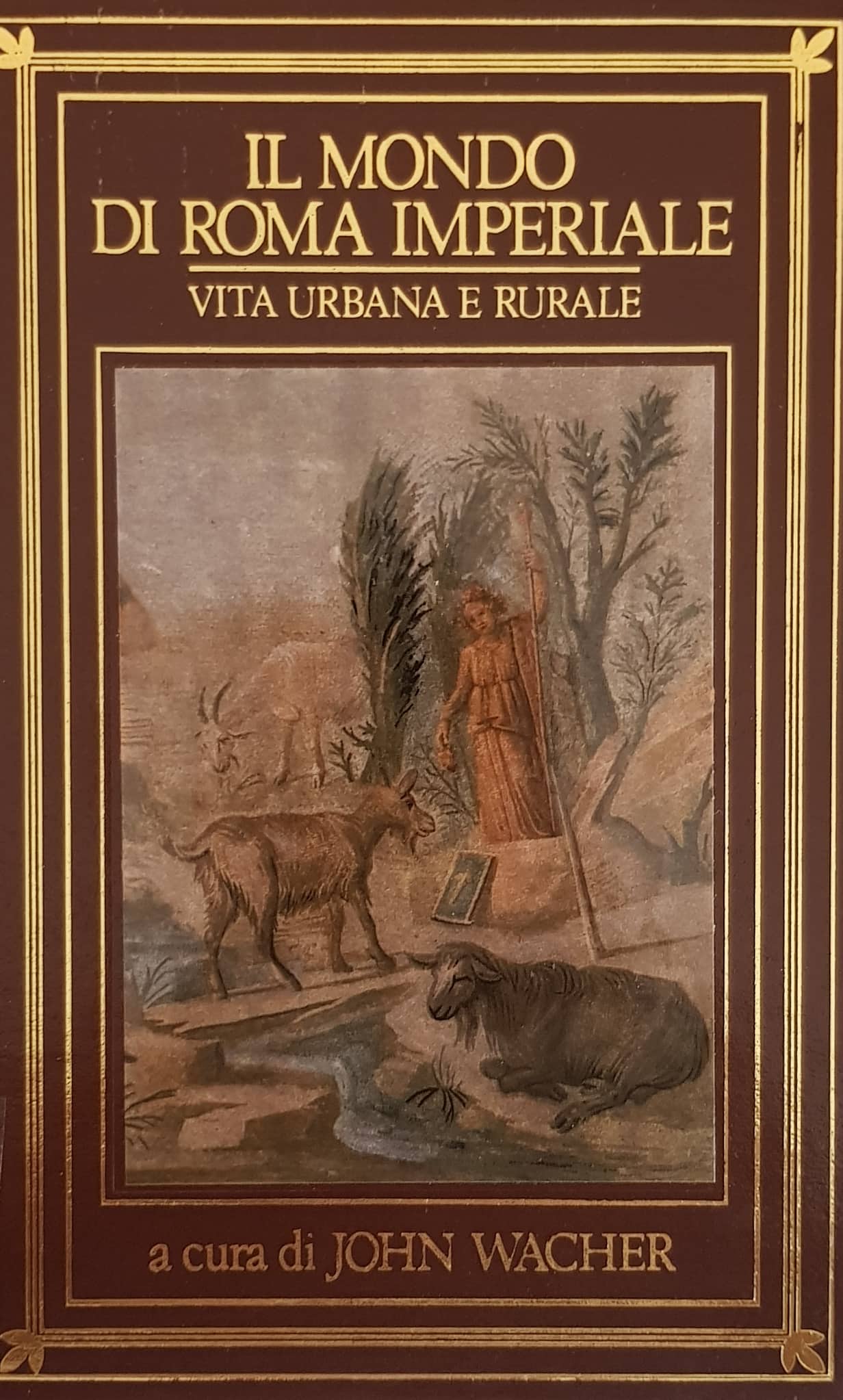 Copertina di Il mondo di Roma imperiale-Vita urbana e rurale